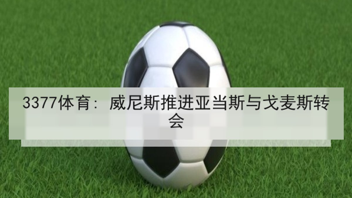 3377体育: 威尼斯推进亚当斯与戈麦斯转会 3377体育: 威尼斯推进亚当斯与戈麦斯转会