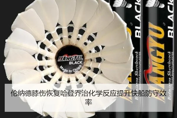 lun-na-de-xi-shang-hui-fu-ha-deng-qiao-zhi-hua-xue-fan-ying-ti-sheng-kuai-chuan-fang-shou-xiao-lv-3-206.jpg