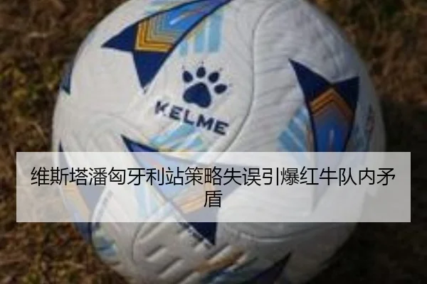 维斯塔潘匈牙利站策略失误引爆红牛队内矛盾